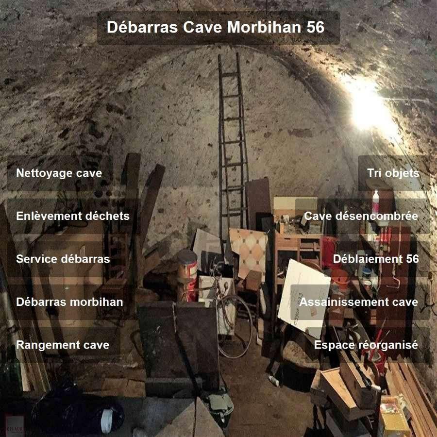 Debarras cave morbihan 57