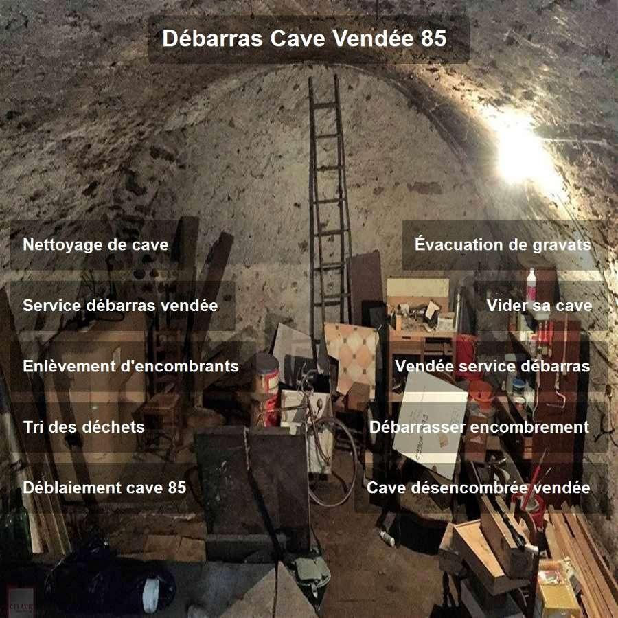 Debarras cave vendee 86