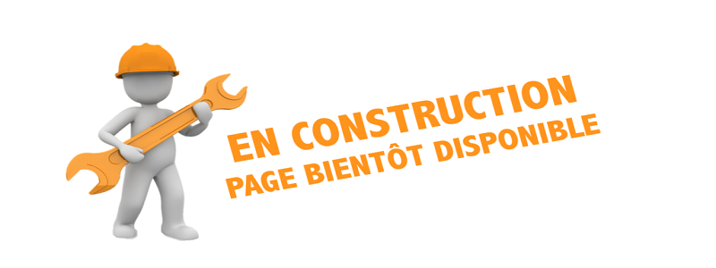 Page en construction broca puces debarras loire atlantique